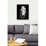 WALLXPERT SC0301 multicolor dekorativna slika u okviru | Eponuda.com