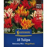 KIEPENKERL Mega pakiranje botaničnih tulipanov "Balcony Mix" - 18 k. Cene