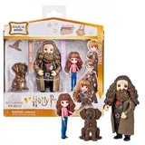 magical minis hermione ( SN6061833 )