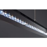 Fischer & Honsel Črna kovinska LED zatemnitvena viseča svetilka Tenso – | Shoptok.si