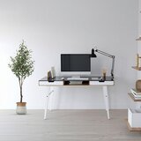 MID.YOU Umetna Rastlina Olive | Shoptok.si