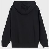Sinsay Hoodie s tiskom Hot Wheels Slike