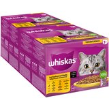 Whiskas Mega pakiranje 1+ Adult vrećice 48 x 85 g - Izbor peradi u umaku Cijene