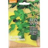 ReinSaat Rukola ''Rucola coltivata'' Cene