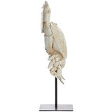 Light & Living Kipić od polyresina (visina 42,5 cm) Crab – | shoptok.hr