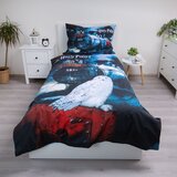 Jerry Fabrics Enojna bombažna otroška posteljnina 140x200 cm Harry Potter "Hogwarts Express" – | Shoptok.si