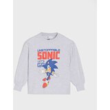 Sinsay Gornji dio trenirke Sonic The Hedgehog | shoptok.hr