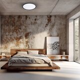  LED plafonsko svetlo MAQ LED/50W/230V 3000/4000/6500K IP40 crna | Eponuda.com