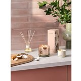 ILLUME x Bloomingville Difuzor Coconut Milk Mango – | shoptok.hr