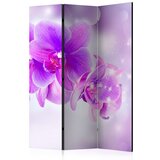  Paravan u 3 dijela - Purple Orchids [Room Dividers] 135x172 Cijene