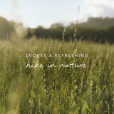Mexx Inspired Nature 30 ml parfumska voda za moške | Shoptok.si