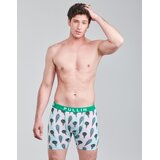 Pullin Boksarice FASHION 2 PRINTED COTTON Večbarvna | Shoptok.si