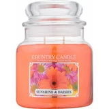 Country Candle Sunshine & Daisies mirisna svijeća 453 g