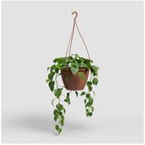Artevasi Plastičen cvetlični lonec ø 31 cm Algarve – | Shoptok.si