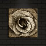 Wallity Zidna slika sa LED osvetljenjem 4040IACT-25, 40x40 cm | Eponuda.ba