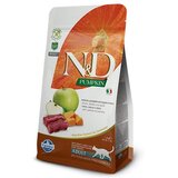 Farmina Pumpkin Cat Adult Grain Free divjačina in jabolko 1,5 kg Cene