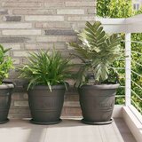  Okrogli cvetlični lonec 6 pcs Črna Ø 39 x 32 cm Plastika, (5000207356) | Shoptok.si