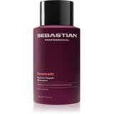 Sebastian Professional Penetraitt šampon za oštećenu, kemijski tretiranu kosu 280 ml Cijene