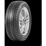  205/55R16 Davanti 91H Wintoura zim Cene
