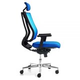  Ergonomska stolica promax plava | Eponuda.com