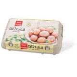 Maxi Kokosija jaja M 15/1 | ePonuda.com