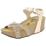 Plakton SO FINAL Gold | shoptok.hr