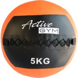 Active gym functional wall ball 5 kg Cene