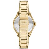 Fossil satovi