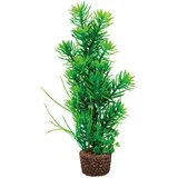 Hobby umetna rastlina Flora Stone 5, 13 cm
