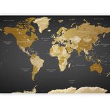  Foto tapeta - World Map: Modern Geography 200x140 Premium | shoptok.hr