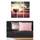 Wallity Set slika MDF2244233, 3 dijela | Eponuda.ba