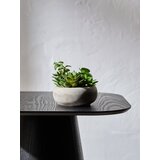 Sinsay Ukrasna umjetna biljka | shoptok.hr