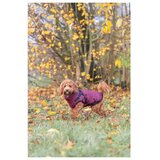 Trixie zimski kaput za pse Pirou 40 cm | Eponuda.com