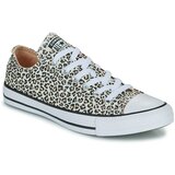 Converse CHUCK TAYLOR ALL STAR Smeđa | shoptok.hr