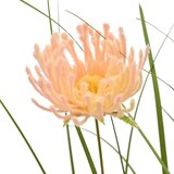Mömax Šop Trave Blossom I -Paz- | Shoptok.si