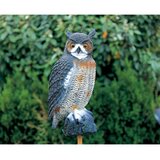 Ubbink Figura živali velika sova 1382530, (20768440) | Shoptok.si