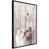  Poster - Piercing Look 30x45 Cijene