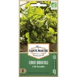 Brokoli "à Jets Sessantina" | Shoptok.si