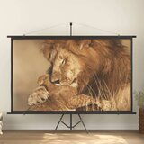  Projekcijsko platno 108 16 : 9 | shoptok.hr