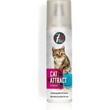 7Pets Cat Attract Cene