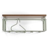 Spinder Design Zelena/siva metalna zidna vješalica s policom Rex – | shoptok.hr