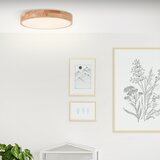 Brilliant LED plafonsko svetlo SLIMLINE LED/22W/230V Ø 39 cm fikus | Eponuda.com
