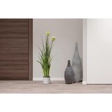 Ambia Home OKRASNA TRAVA | Shoptok.si