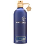 Montale Paris Aoud Ambre parfumirana voda unisex 100 ml | Shoptok.si