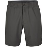 O'neill Hlače 'Utility 17' siva | Shoptok.si