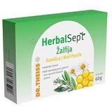 Dr. Theiss herbal Sept Pastile za grlo sa žalfijom, kamilicom i medom, 24 pastile cene