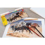 Faber-Castell Barvice Eberhard Faber Colori, 36 kosov | Shoptok.si