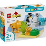 Lego DUPLO Wild Animal Families: Penguins and Lions 10442 Cene