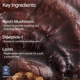 Youth To The People Adaptogen Deep Moisture Cream vlažilna krema 59 ml Slike