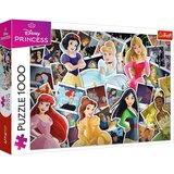 Trefl Fotografije Disneyjevih princes - 1000-delna sestavljanka - | Shoptok.si